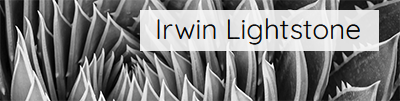 Irwin Lightstone